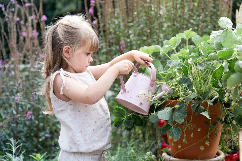Little Dutch - Vandkande Fairy Garden