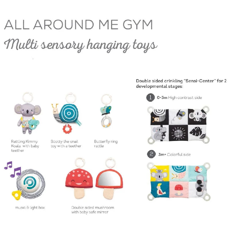 TAF All around me gym